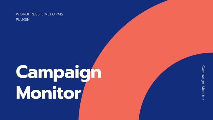 How to setup campaign monitor