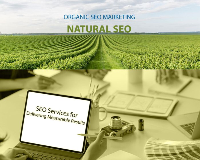 How to grow with national seo services