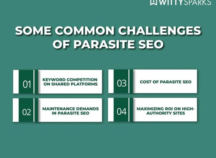 Parasite seo what is it