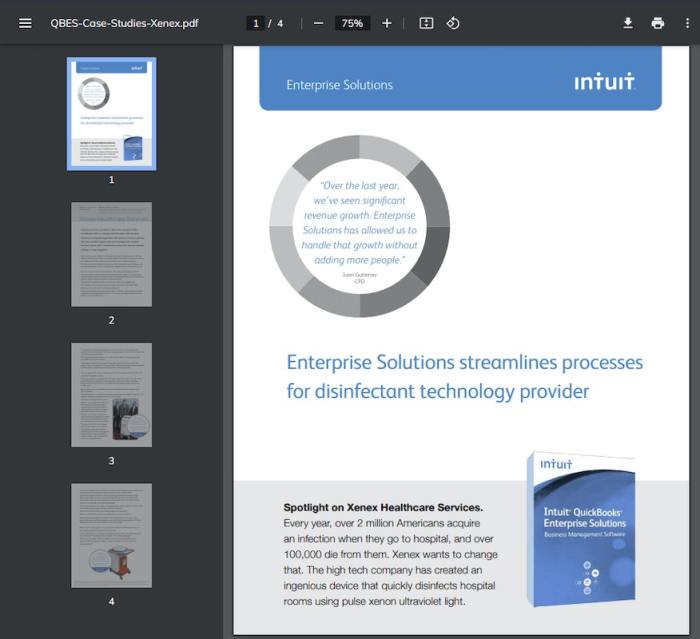 Case studies brands that excelled with meta advertising
