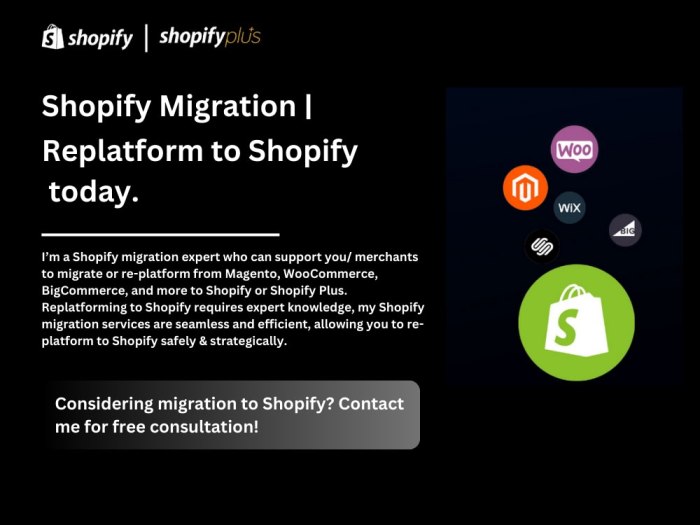 Migration to shopify 20 guide