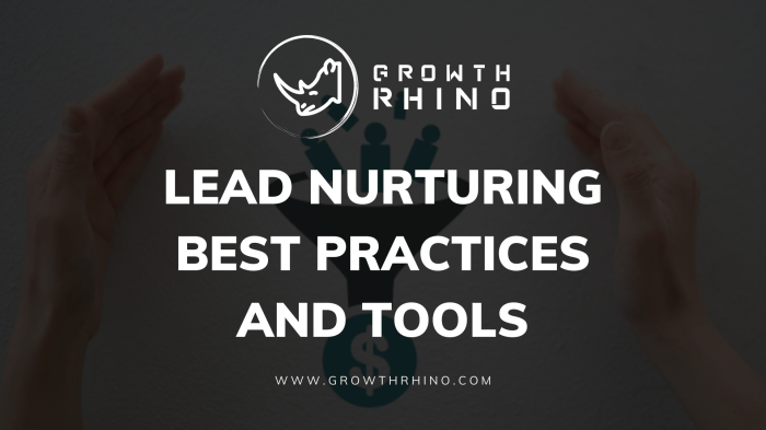 The dos and donts of lead nurturing in professional services