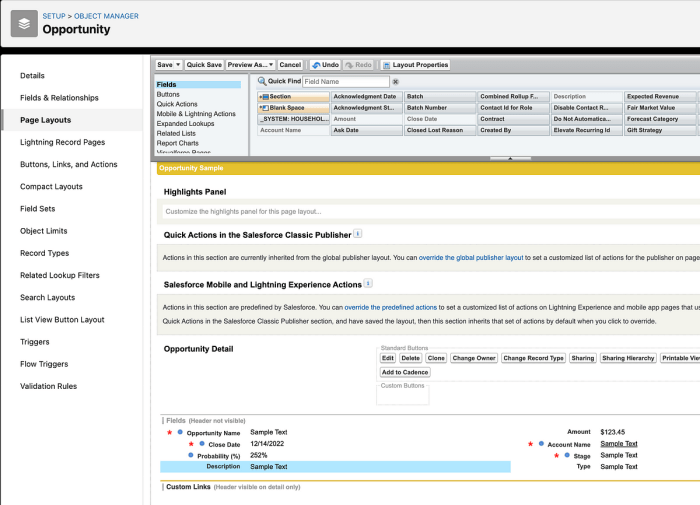 Leverage the power of salesforce business for digital transformation mastery