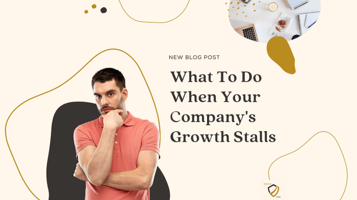 What to do when your growth stalls