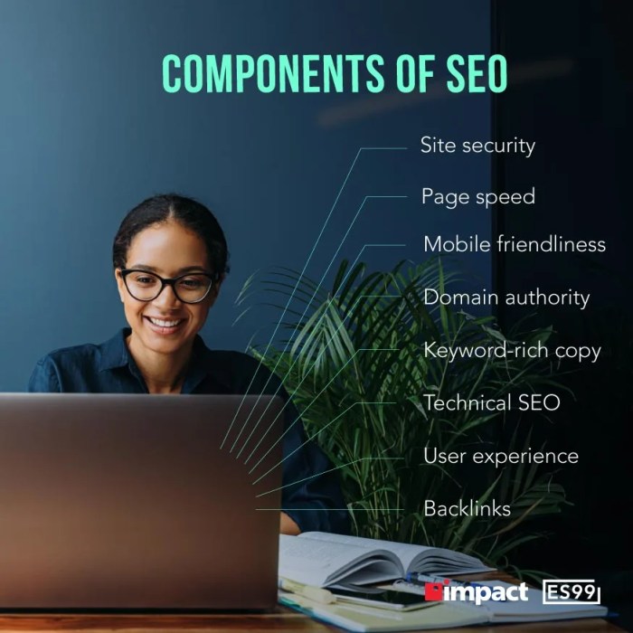 The effects of seo