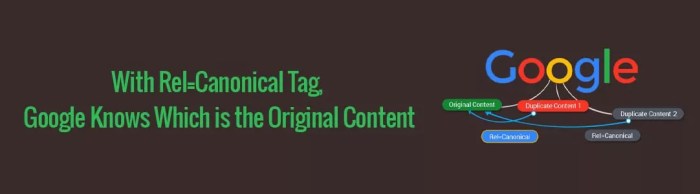 Url canonicalisation seo guide