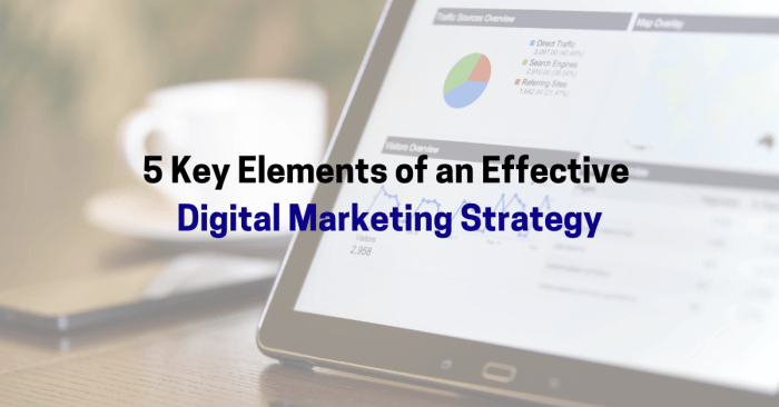 5 must haves for digital marketing success