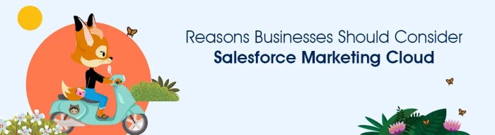 Salesforce marketing cloud b2b success