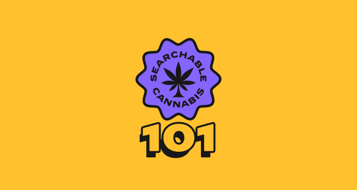 WeedMaps: 7 Tips and Tricks You Need to Know - HerbGizmo Weedmaps vs google which one is better for dispensary seo