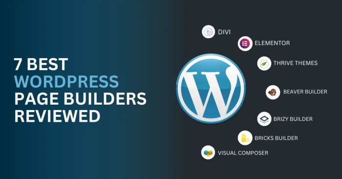 Does wordpress need another site building tool builderius thinks so