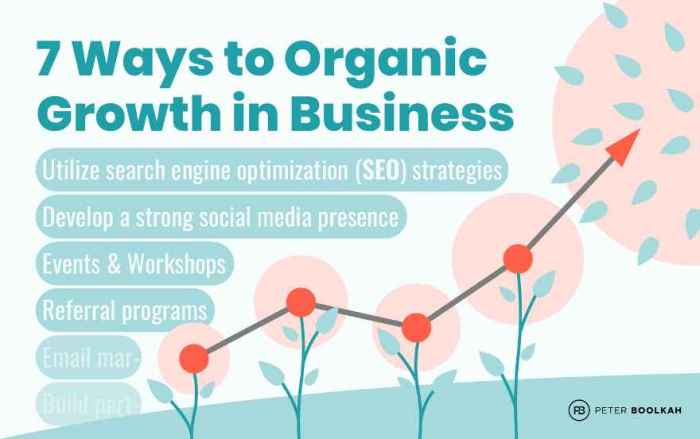 Seo competitive Using seo capture growth opportunities in emerging markets