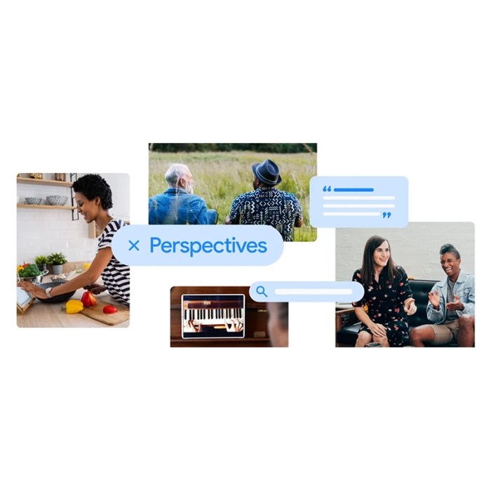Google perspectives how this search filter delivers diverse viewpoints with engaging social content
