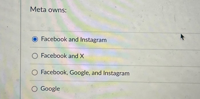 Meta lets brands search facebook instagram for stolen content