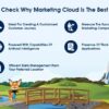 Salesforce marketing cloud b2b success