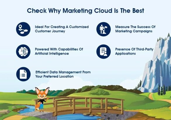 Salesforce marketing cloud b2b success
