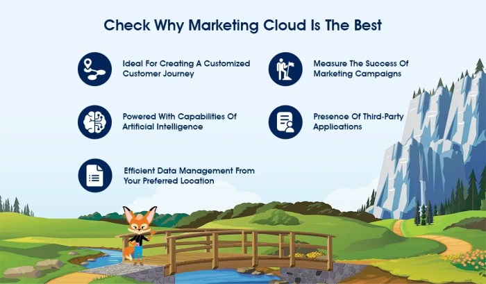 Salesforce marketing cloud b2b success