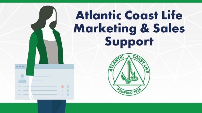 Marketing support inside sales