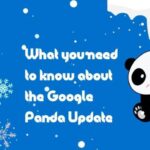 Google panda update guide