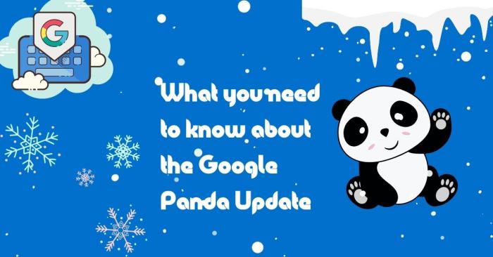 Google panda update guide