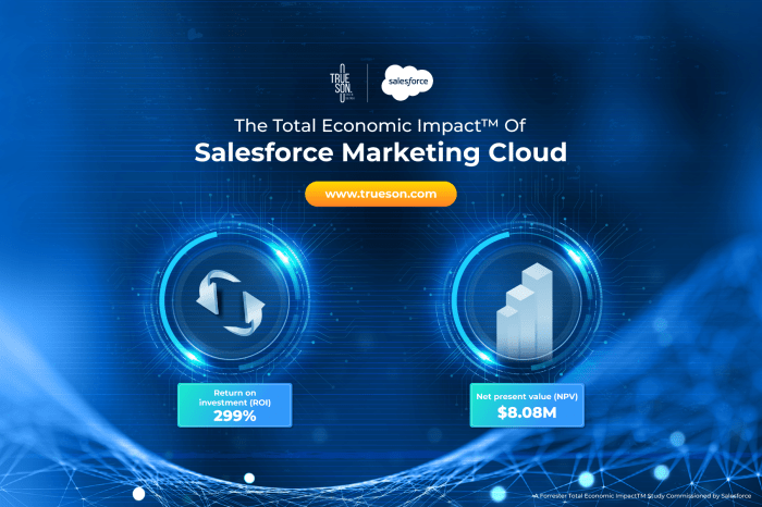 Salesforce marketing cloud growth for small businesses