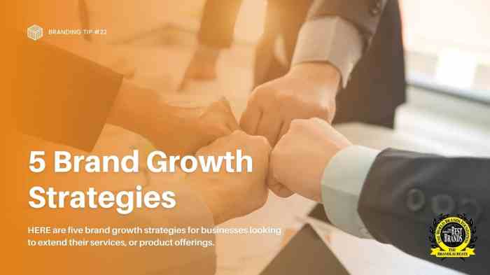 Brand strategy your business growth lynchpin