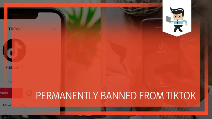 Alternatives for users if tiktok banned