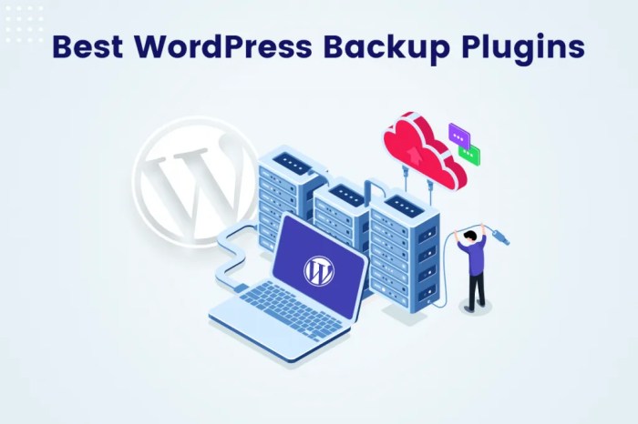 Best wordpress backup plugins