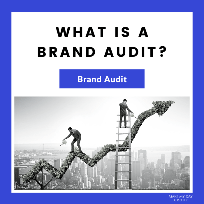 Audit brand search data