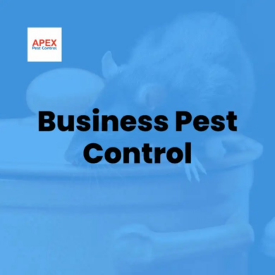Create pest control business plan