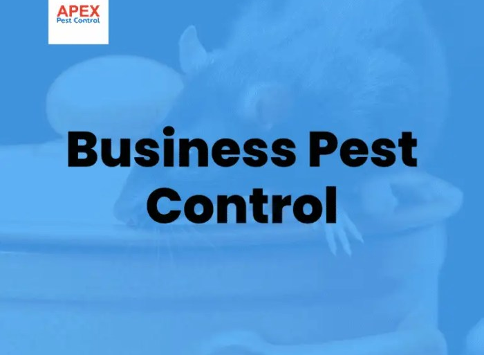 Create pest control business plan
