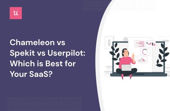 Chameleon vs spekit comparison nocode growth strategies
