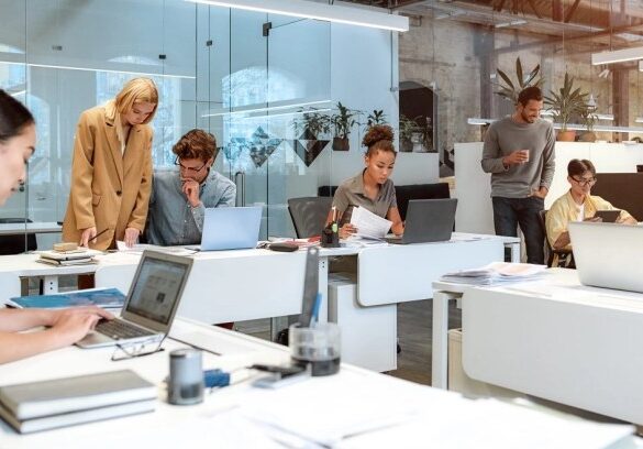 Guide to company culture