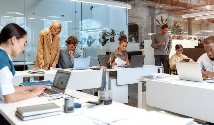 Guide to company culture