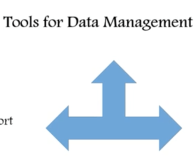 Salesforce data management strategies