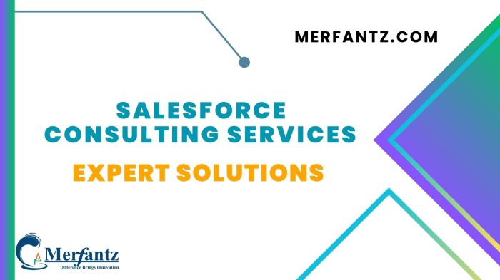 Salesforce services expert solutions