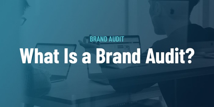 Audit brand search data
