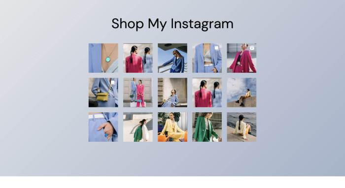 How to add instagram shoppable images in wordpress