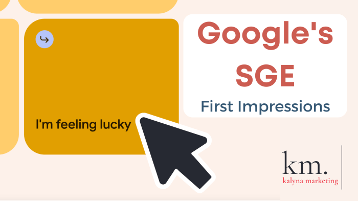 Seo success preparing for google sge