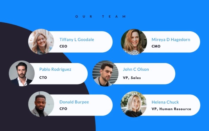 Create pitch deck investors