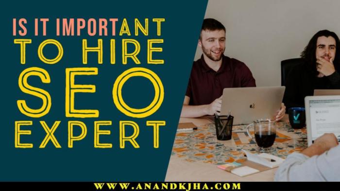Enterprise seo expert knowing when how to hire the perfect professional