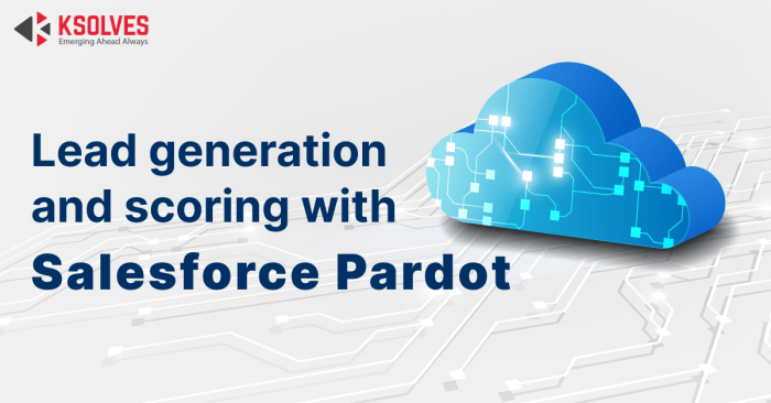 Lead scoring and grading in pardot
