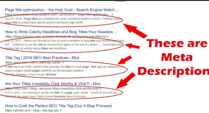 Why google rewrites your meta description
