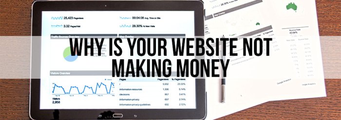 My website isnt making money