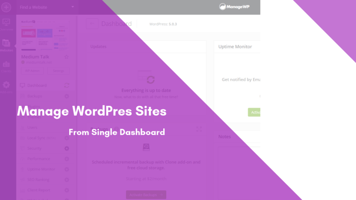 Manage multiple websites on wordpress