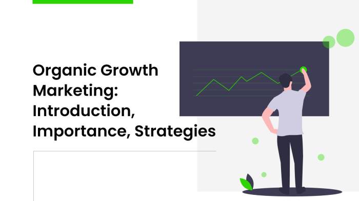 5 things every managing partner must do to drive organic growth