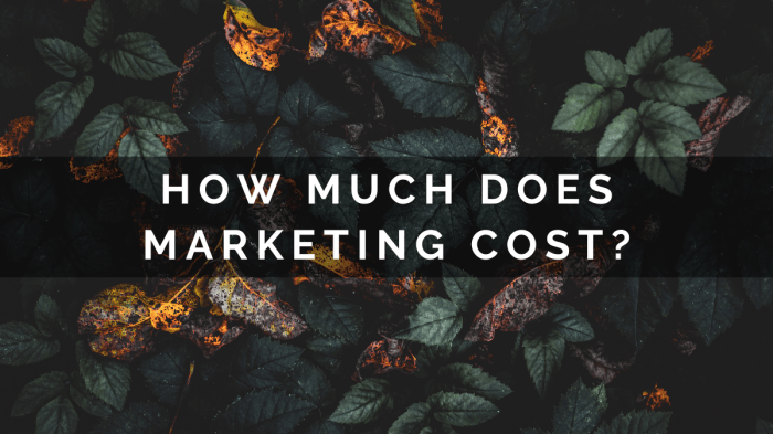 Measuring the true cost of marketing