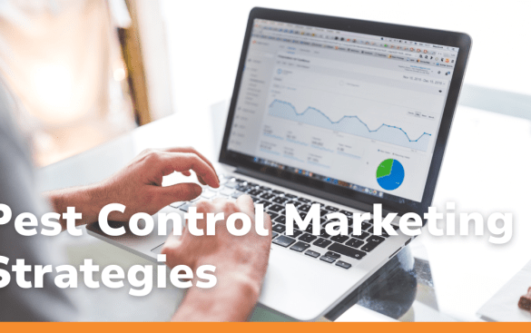 Pest control marketing services
