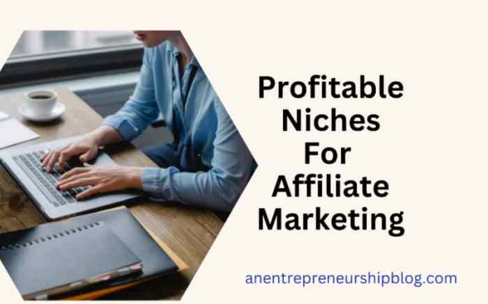 Find profitable niche affiliate marketing