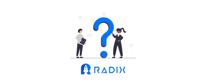 Built and launched a saas company
