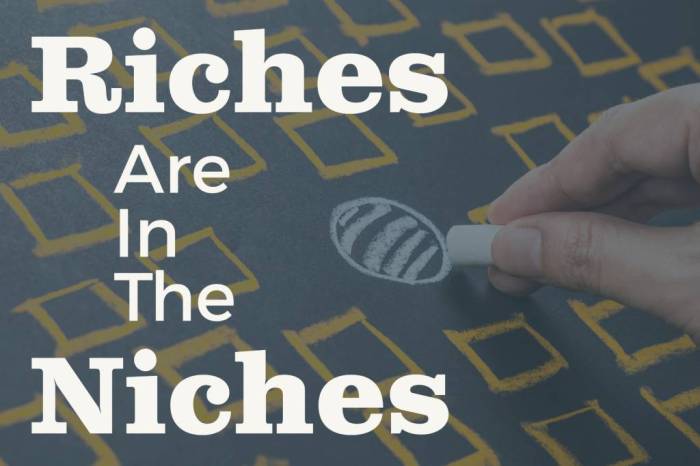 The riches is not in the niches
